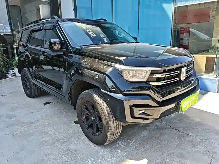 Tank 400 New Energy 2024 Hi4-T Off-Road Edition 4
