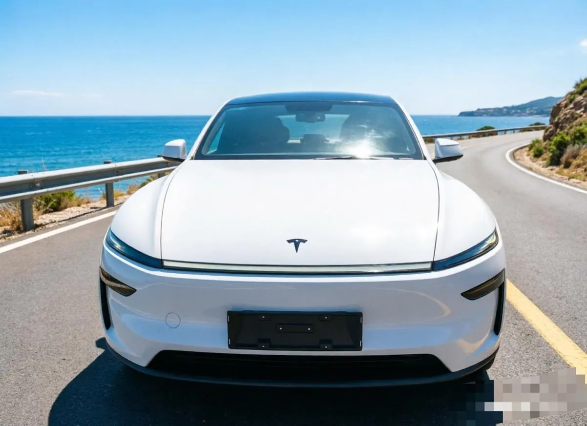 Tesla 2024 Model Y rear-wheel drive version automatic transmission 7