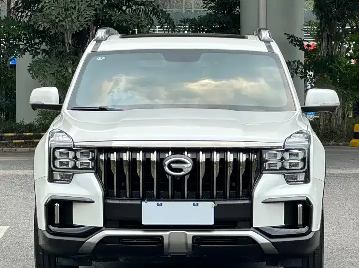 Chuanqi GS8 2020 GS8S 390T Two-Drive Deluxe Zhilian Edition 2