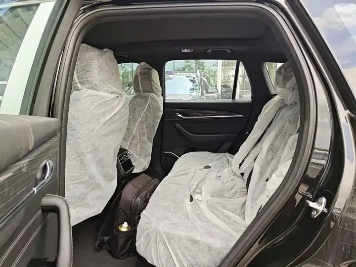 XingyueL (Monjaro) 2026 Model 2.0TD DCT Changfeng Yueshan Edition 7