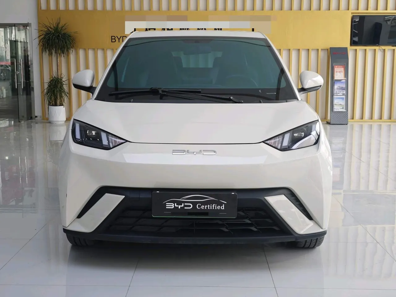 BYD 2023 seagull flying version automatic gear 2
