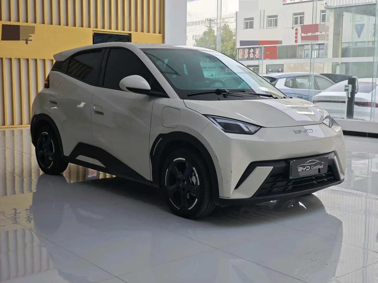 BYD 2023 seagull flying version automatic gear 3