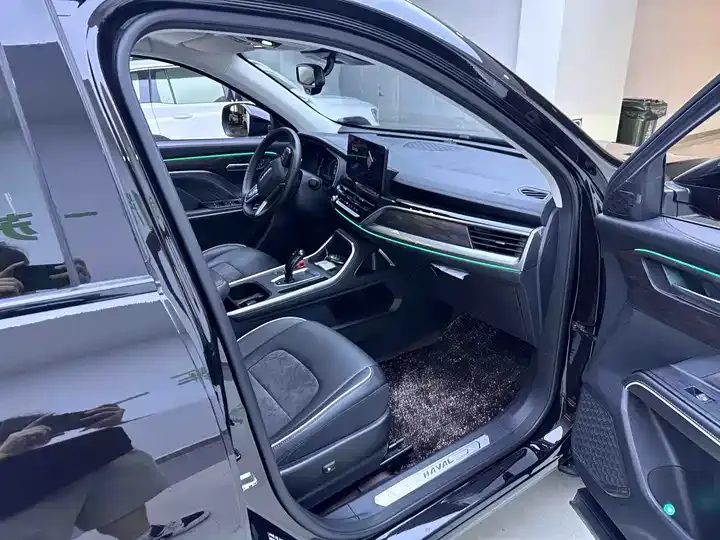Haval H6 2021 National Tide Edition 1.5T Auto Champion Edition 11