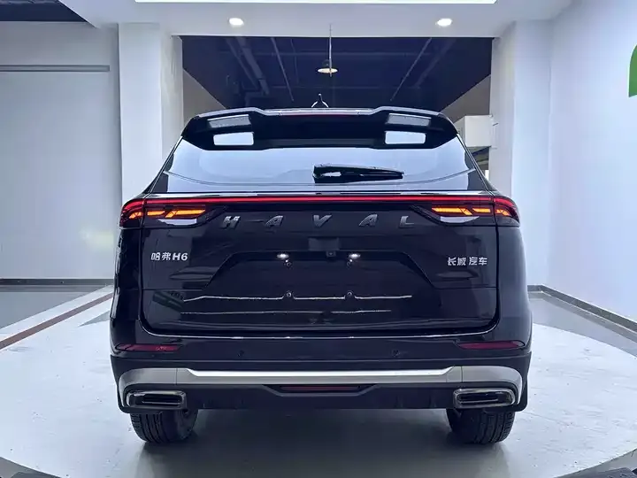 Haval H6 2021 National Tide Edition 1.5T Auto Champion Edition 5