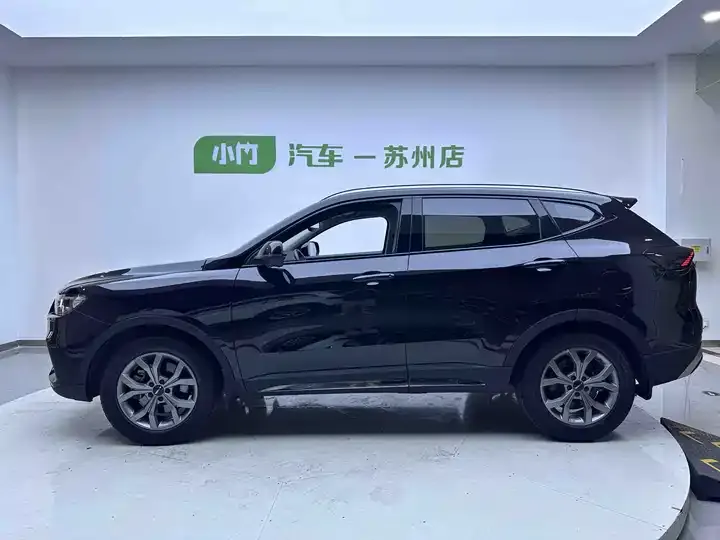 Haval H6 2021 National Tide Edition 1.5T Auto Champion Edition 8
