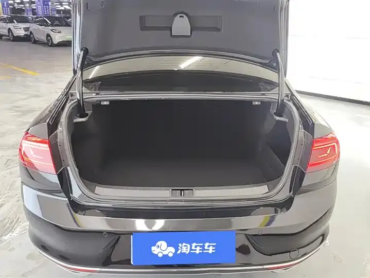 Magotan 2020 330TSI DSG Luxury Edition 4