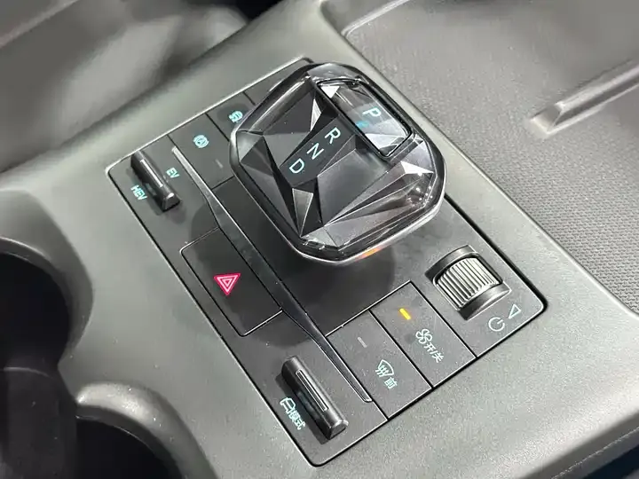 Qin PLUS 2025 DM-i Smart Driving Edition 55KM Leading Model 10