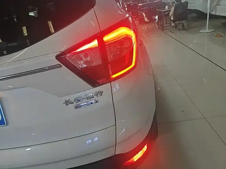 Maverick 2019 EcoBoost 9000.00g Platinum Wing Country VI 8