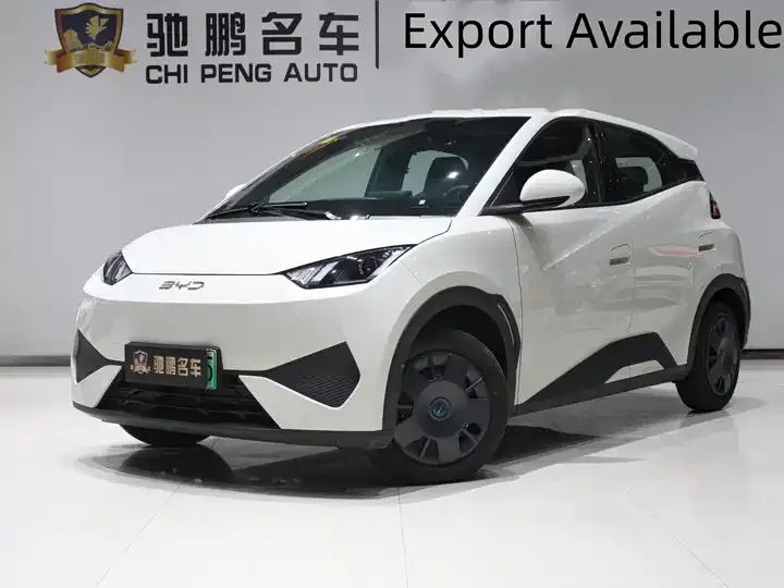 Seagull 2026 Model, 305km Range, Vitality Edition - View 1