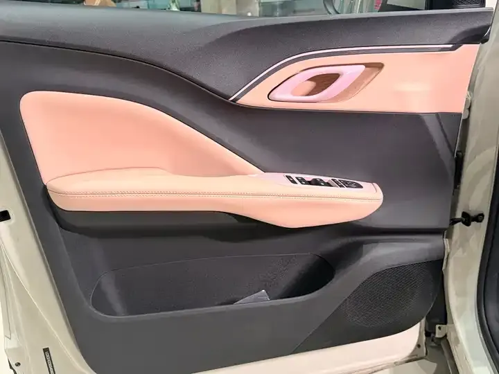 Seagull 2026 Model, 305km Range, Vitality Edition 10