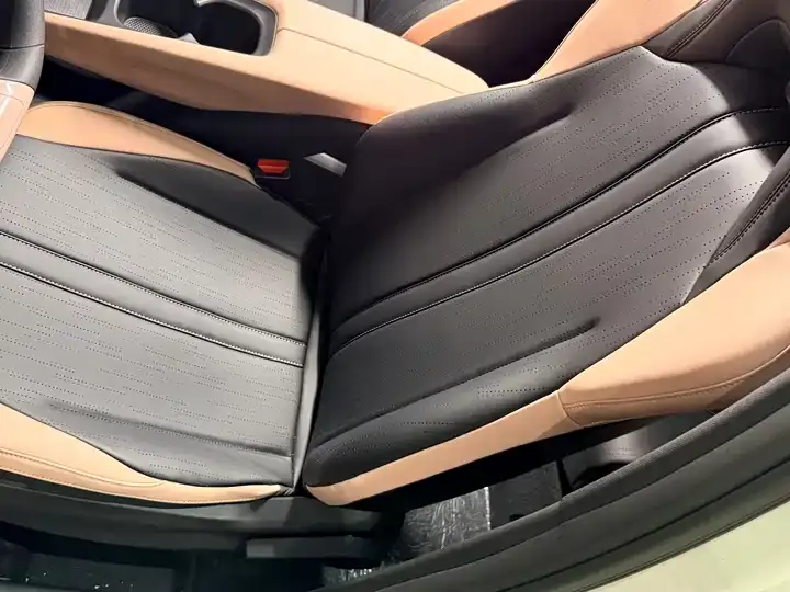 Seagull 2026 Model, 305km Range, Vitality Edition 11