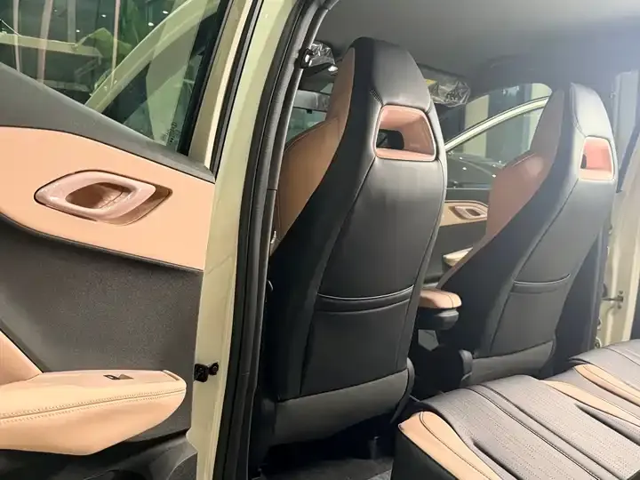 Seagull 2026 Model, 305km Range, Vitality Edition 12