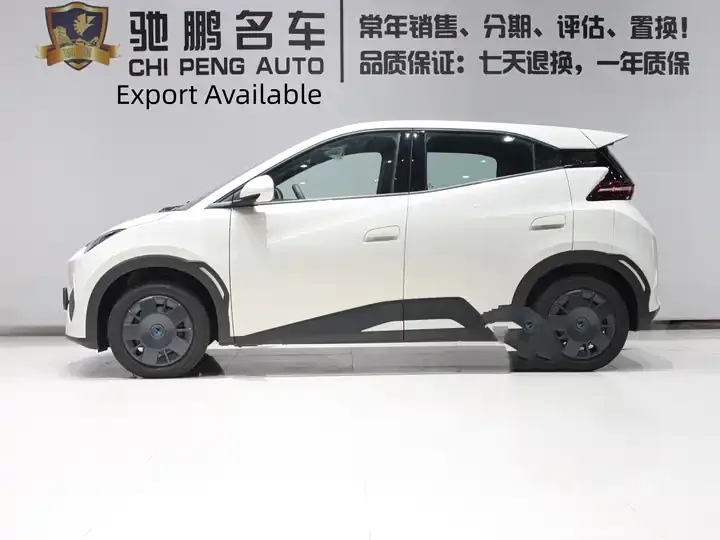 Seagull 2026 Model, 305km Range, Vitality Edition 2