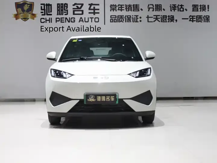 Seagull 2026 Model, 305km Range, Vitality Edition 4