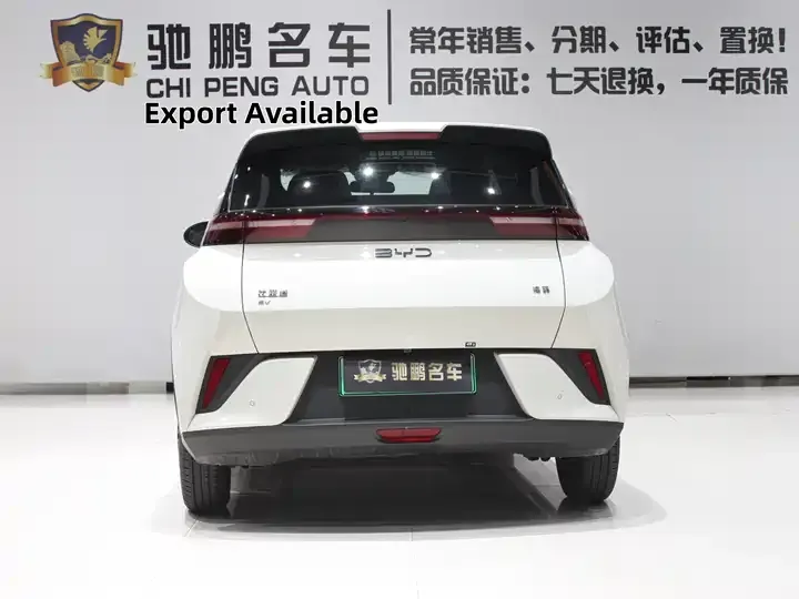 Seagull 2026 Model, 305km Range, Vitality Edition 5