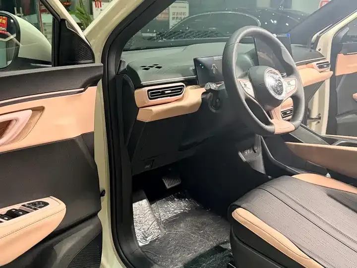 Seagull 2026 Model, 305km Range, Vitality Edition 8