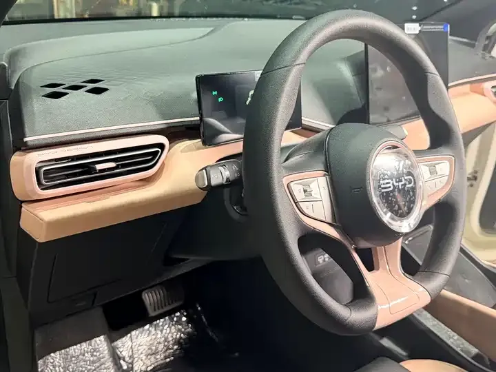 Seagull 2026 Model, 305km Range, Vitality Edition 9