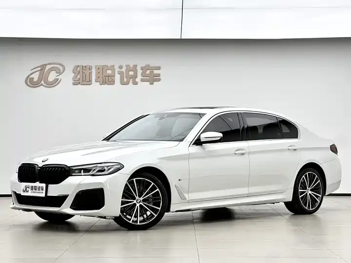 BMW 5 Series 2021 530Li Leading M Sports Suit - View 1