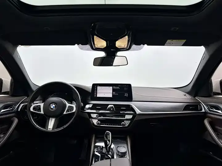 BMW 5 Series 2021 530Li Leading M Sports Suit 12