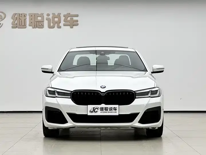 BMW 5 Series 2021 530Li Leading M Sports Suit 2