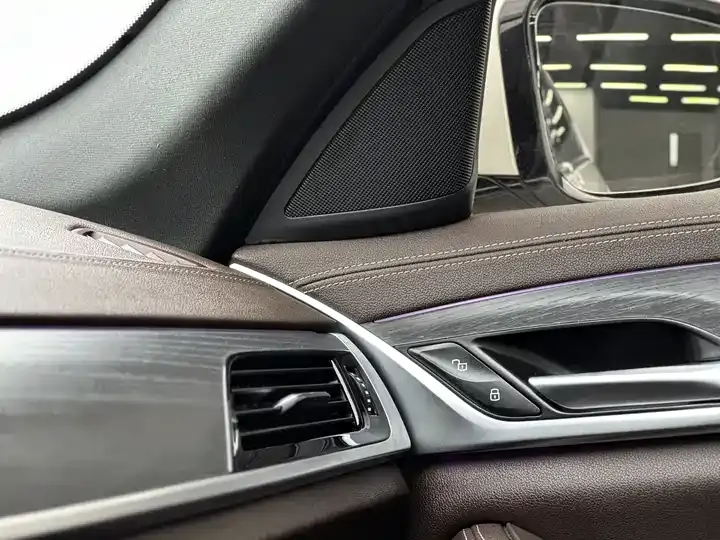 BMW 5 Series 2021 530Li Leading M Sports Suit 6
