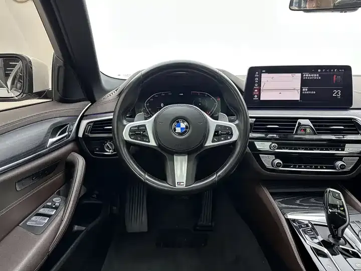 BMW 5 Series 2021 530Li Leading M Sports Suit 8