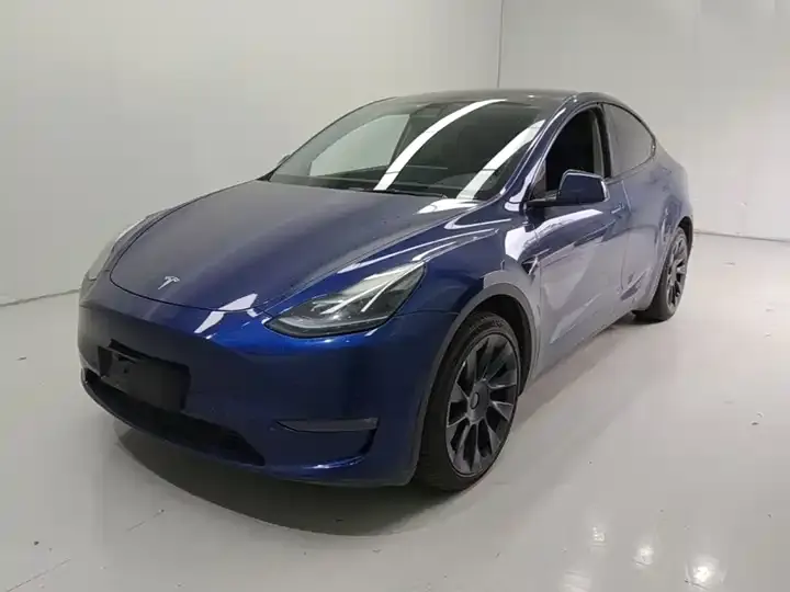 Model Y 2022 model modified long-life all-wheel drive version - View 1