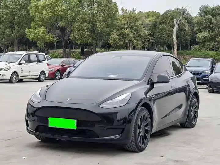 Open image lightbox: Model Y 2021 Standard Endurance Rear Drive Edition