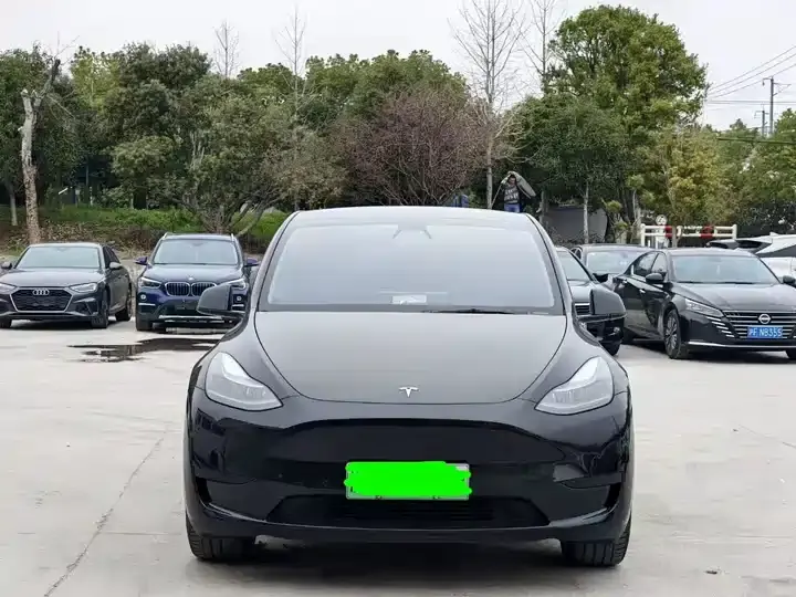 Model Y 2021 Standard Endurance Rear Drive Edition 2