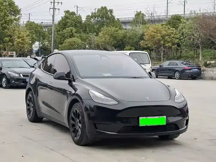 Model Y 2021 Standard Endurance Rear Drive Edition 3
