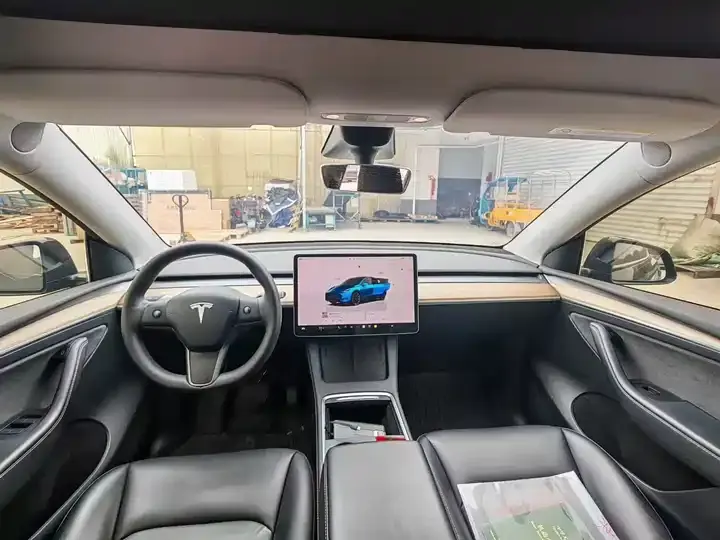 Model Y 2021 Standard Endurance Rear Drive Edition 4