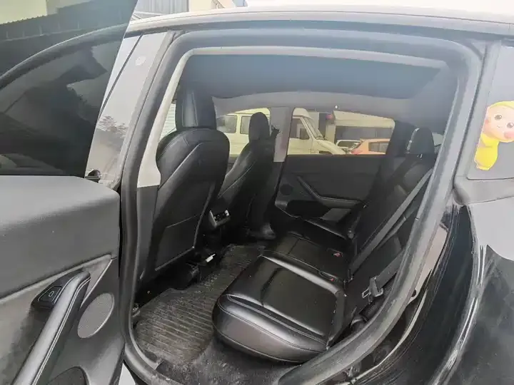 Model Y 2021 Standard Endurance Rear Drive Edition 5