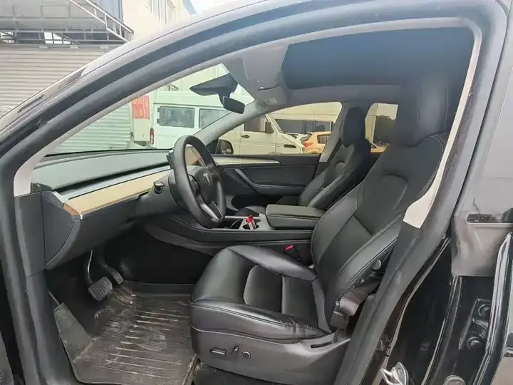 Model Y 2021 Standard Endurance Rear Drive Edition 6