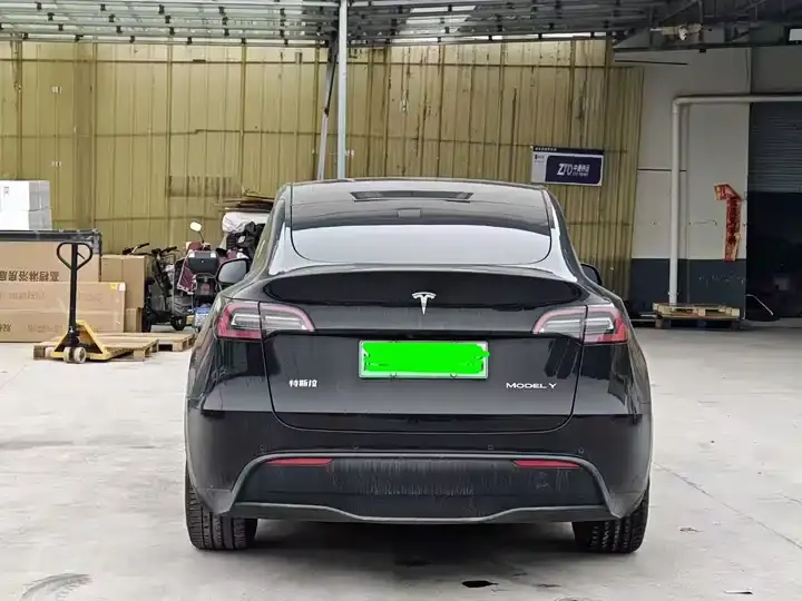 Model Y 2021 Standard Endurance Rear Drive Edition 7