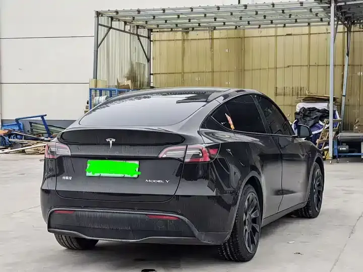 Model Y 2021 Standard Endurance Rear Drive Edition 8