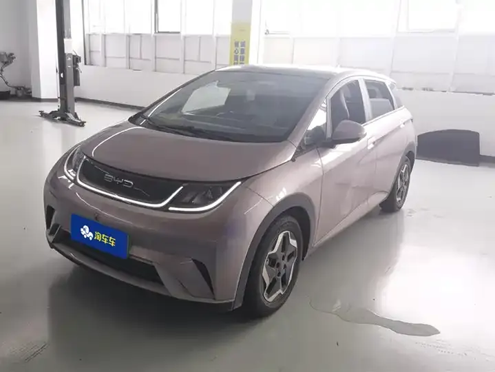 Dolphin 2021, 405 km, Fashion Edition - View 1