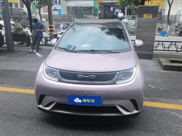 Dolphin 2021, 405 km, Fashion Edition 2
