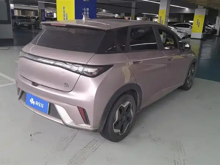 Dolphin 2021, 405 km, Fashion Edition 3