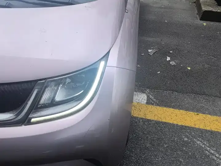 Dolphin 2021, 405 km, Fashion Edition 5