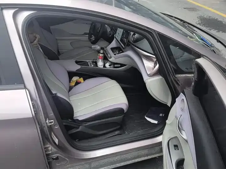 Dolphin 2021, 405 km, Fashion Edition 8