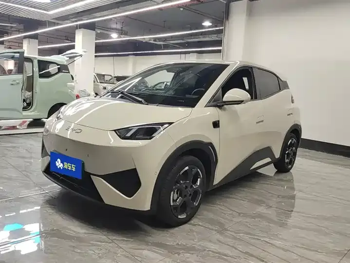 Seagull 2025 Intelligent Driving Version, 305 km, Freedom Edition - View 1