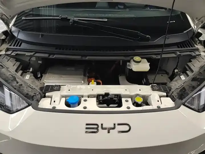 Seagull 2025 Intelligent Driving Version, 305 km, Freedom Edition 10