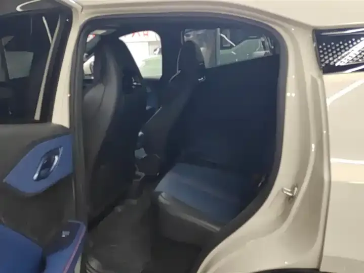 Seagull 2025 Intelligent Driving Version, 305 km, Freedom Edition 11