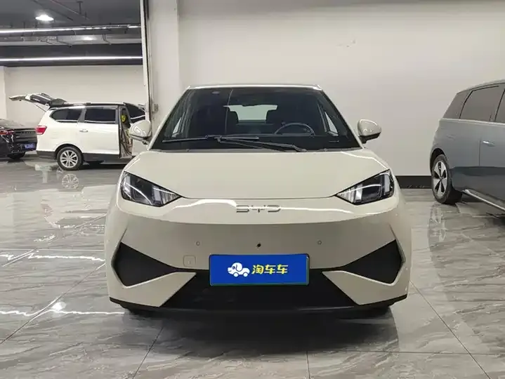 Seagull 2025 Intelligent Driving Version, 305 km, Freedom Edition 2