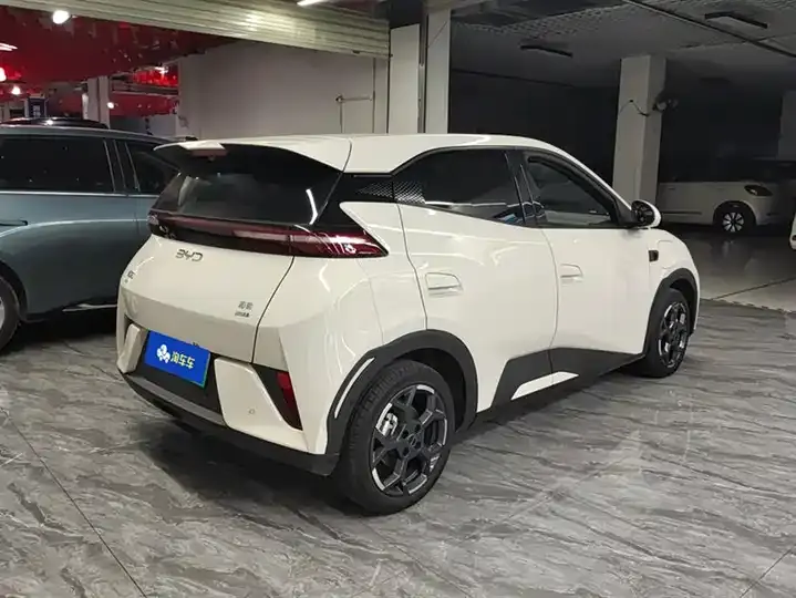 Seagull 2025 Intelligent Driving Version, 305 km, Freedom Edition 3
