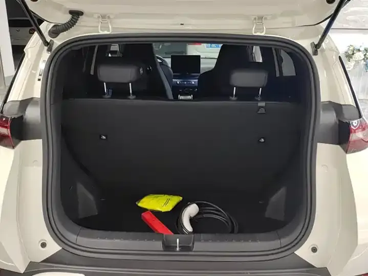 Seagull 2025 Intelligent Driving Version, 305 km, Freedom Edition 4