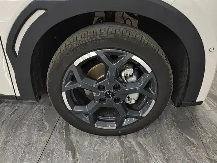Seagull 2025 Intelligent Driving Version, 305 km, Freedom Edition 6