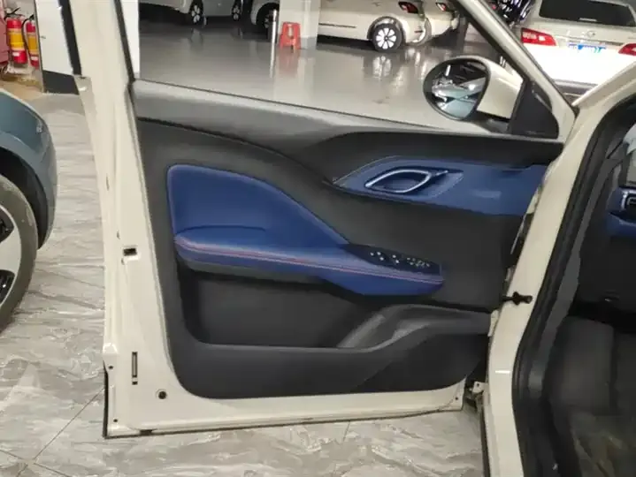 Seagull 2025 Intelligent Driving Version, 305 km, Freedom Edition 7