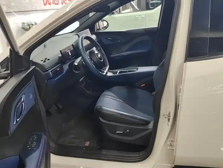 Seagull 2025 Intelligent Driving Version, 305 km, Freedom Edition 9