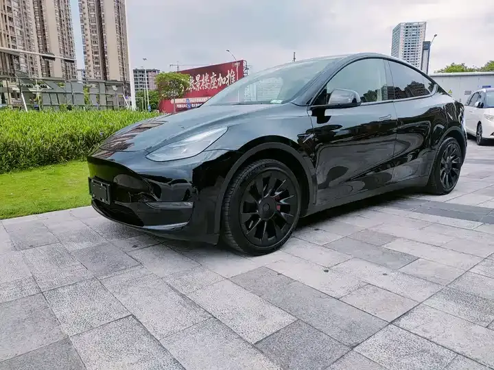 2022 Model Y Rear-Wheel Drive Edition - View 1